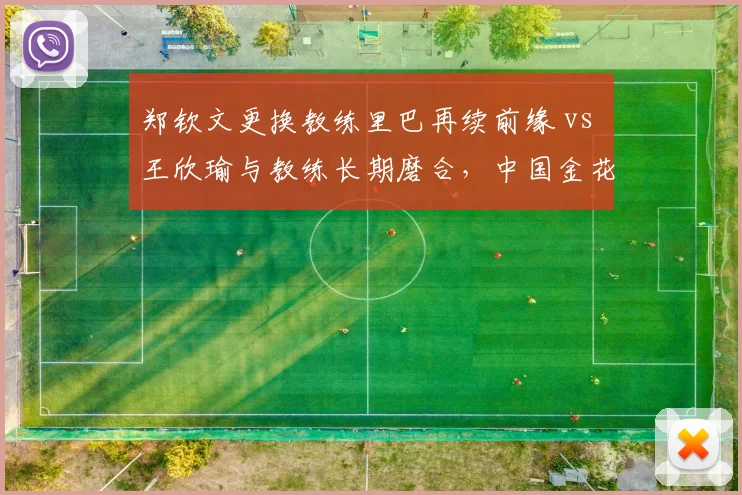 郑钦文更换教练里巴再续前缘 vs 王欣瑜与教练长期磨合,中国金花教练配置策略对比