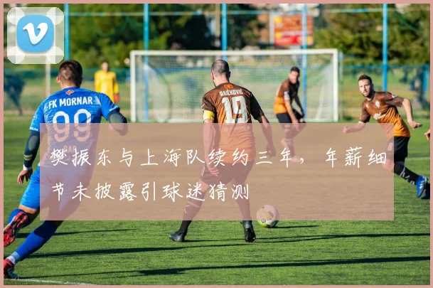 樊振东与上海队续约三年，年薪细节未披露引球迷猜测