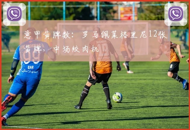 意甲黄牌数：罗马佩莱格里尼12张黄牌，中场绞肉机